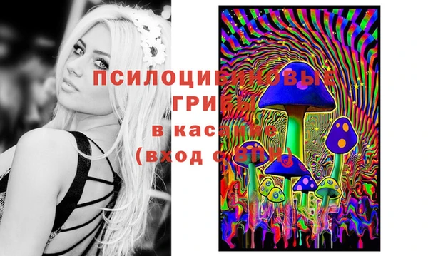 прущие крисы Армянск