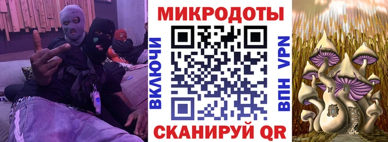 Псилоцибиновые грибы Psilocybine cubensis  Малая Вишера 